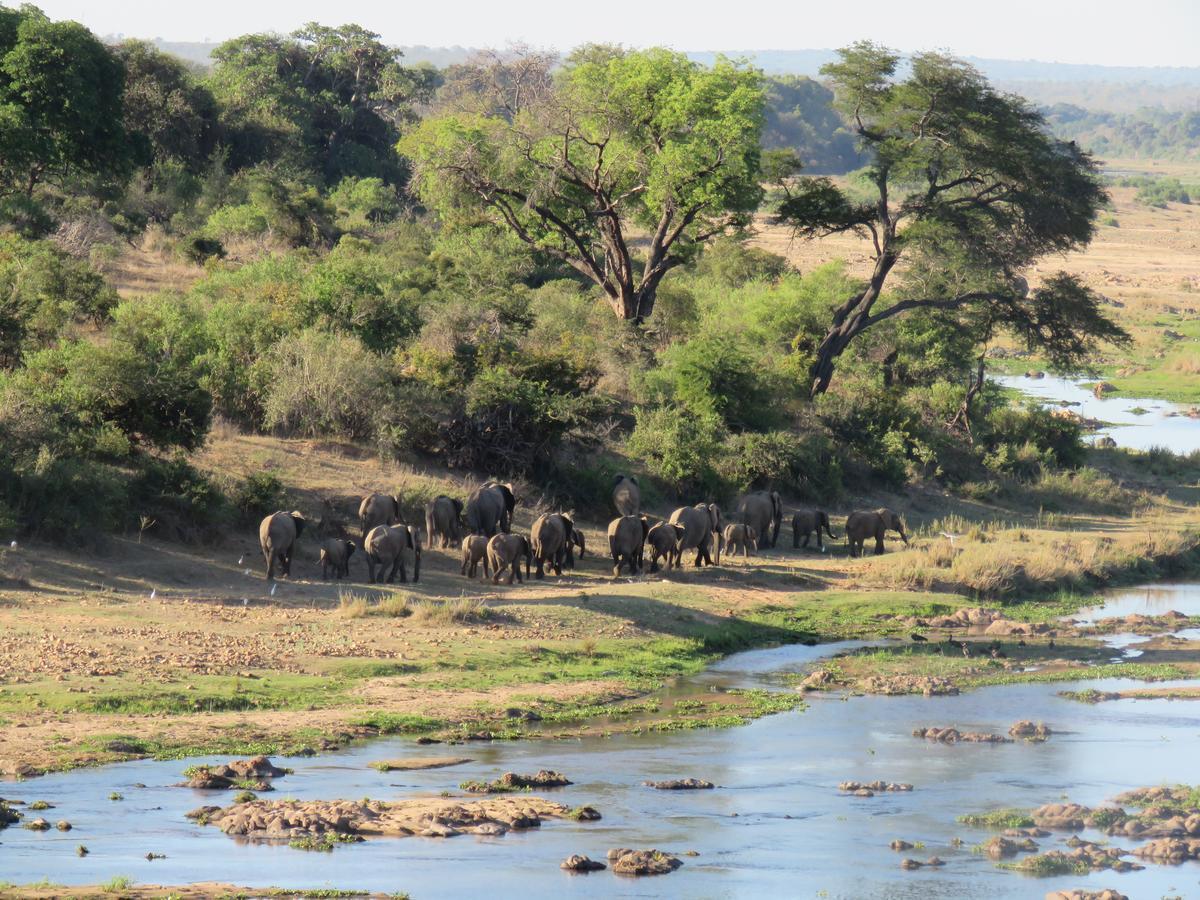 Villa Kruger View Tree House Marloth Park Exterior foto